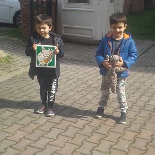 Profile Picture of Ali Manav (@ali.manav.184) on Facebook