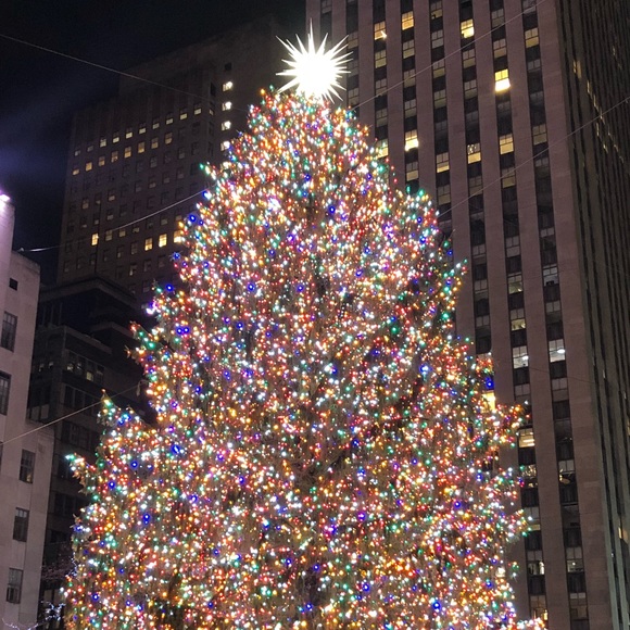 Marcella Vitale - Poshmark Profile Picture of Marcella Vitale (@mvitale530) on Poshmark