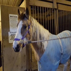 Alyse Clark - Myspace Profile Picture of Alyse Clark (@fluffy_horses) on Myspace