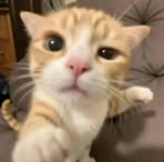 Profile Picture of James Protes (@James-Protes) on Facebook