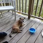 Profile Picture of Phyllis Buxton (@phyllis.buxton.54) on Facebook