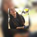 Profile Picture of Anto Rocha (@anto.rocha.359) on Facebook