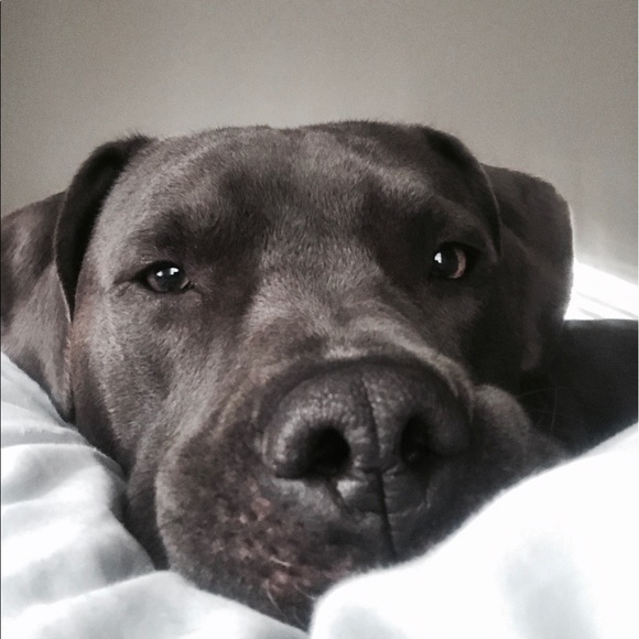 Profile Picture of Cassandra Hatfield (@chatfield62) on Poshmark