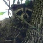 Profile Picture of Richard Havlinek (@rhavlinek) on Instagram