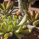 Profile Picture of James McGillicuddy (@jamesmcgillicuddy25) on Instagram