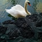 Profile Picture of Linsay Baird (@linsay.baird.9) on Facebook