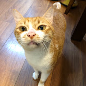 Profile Picture of Rick Chung (@rickchung9808) on Youtube