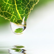 Nancy McAleer - Youtube Profile Picture of Nancy McAleer (@nancymcaleer3076) on Youtube