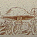 Profile Picture of Amanda Carlson (@adnamanoslrac) on Flickr