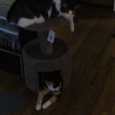 Profile Picture of Amanda Cromwell (@Amandacromwel13) on Twitter