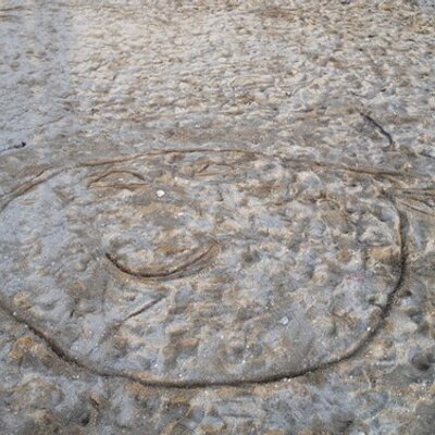 Profile Picture of Claire Hammett (@clampeanut) on Twitter