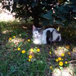 Profile Picture of Basilia Gonzalez (@basilia.gonzalez.77) on Instagram