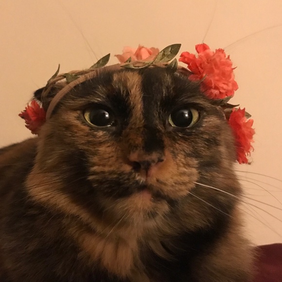 Profile Picture of Delilah Viramontez (@delilahjanelle) on Poshmark