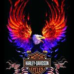 Profile Picture of riley james myren (@rj_boss_dog) on Instagram