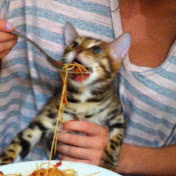 Profile Picture of Steve Cutler (@RockitSteve) on Youtube