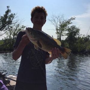Profile Picture of Travis Burkholder (@TravisBurkhold2) on Twitter