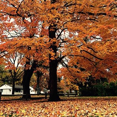 Profile Picture of Brooke Lynn (@AmandaStrouse1) on Twitter