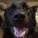 Profile Picture of Jordan Michael Workman (@jordann.workman) on Instagram