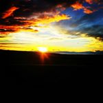 Michael Laffranchini - Instagram Profile Picture of Michael Laffranchini (@michaellaffranchini) on Instagram