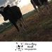 Profile Picture of Zach Stoflet (@zach.stoflet.1) on Facebook