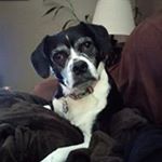 Profile Picture of Stephen Inglis (@stephen_inglis) on Instagram