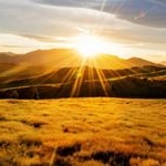 Profile Picture of 〈 Joecobler (@joecobler_) on Instagram