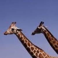 Profile Picture of James Outman (@james-outman) on Quora