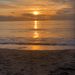 Profile Picture of Wanda Tharp (@laveenfrog1) on Pinterest