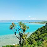 Profile Picture of gail_reade (@gail_reade) on Instagram