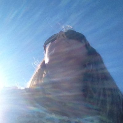 Profile Picture of Bobbie Camm Trammel (@MsBobbieCamm) on Twitter