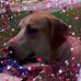 Profile Picture of John Jozefyk (@John-Jozefyk) on Facebook