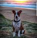 Profile Picture of Adam Chaston (@adam.chaston) on Facebook