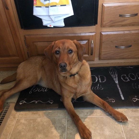 Profile Picture of Ruth Keane (@keane360) on Poshmark