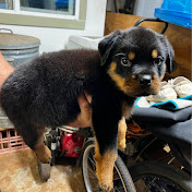 Profile Picture of Lisa A. Sequin (@lisaa.sequin3388) on Youtube