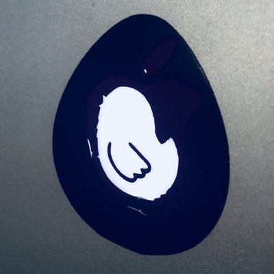 Profile Picture of Steve Henn (@HennsEggs) on Twitter