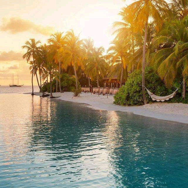 Profile Picture of David (@goldenbreeze_david) on Tiktok