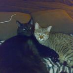 Profile Picture of Adriana Antonietti (@adriana.antonietti.3) on Facebook