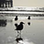 Profile Picture of Yi Ding (@dingelingyi) on Flickr