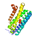 Profile Picture of Aldehyde deformylating oxygenaseon Wikipedia