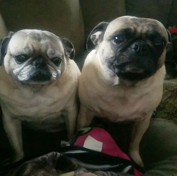 Profile Picture of Sarah Mcconnaughy (@sarahe85) on Poshmark