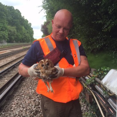 Profile Picture of Roy Kennedy (@BucksRoy) on Twitter