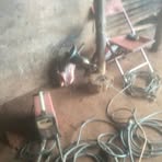 Profile Picture of George Hollou (@George-Hollou) on Facebook