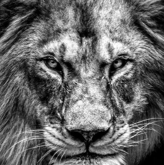 Profile Picture of Dexter Rowland (@dexterrowland) on Poshmark