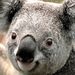 Profile Picture of Jonh Fender (@jonhfender) on Pinterest