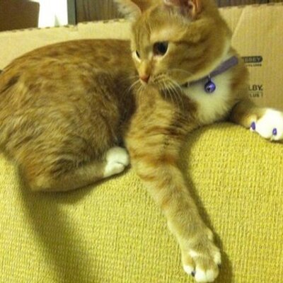 Anne Marie Werthmann - Twitter Profile Picture of Anne Marie Werthmann (@AnneMarieWerthm) on Twitter