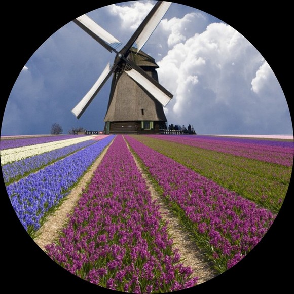 Profile Picture of David Altman (@articulatade) on Poshmark