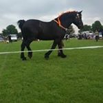 Profile Picture of Audrey Hennessy (@audreehennessy) on Instagram