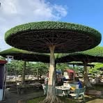 Profile Picture of Tessey John (@Tessey-John) on Facebook