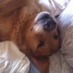 Profile Picture of coletteschwartz (@coletteschwartz) on Instagram