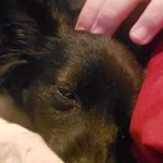 Profile Picture of Da'shawn Jakubs (@dashawnj394) on Instagram